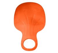 Generisch Tabla de trineo de nieve, tabla de trineo de arena para adultos, trineo para niños, trineo de nieve, niños pequeños, tablas de esquí de invierno para exteriores