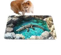 Generisch Tapis Illusion d'Optique 3D - Tapis Illusion d'Optique 3D - Tapiis Piège Illusion Avec Tapiss sol antidérapant et absorbente, tapiss jeu Pour animaux de compagnie | Entrée, Cuisine, Salle de