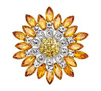 Generisch Todos Ropa Ropa Mujer Broche Flores Conjunto Broche Corpiño Asa Accesorios Hija Joyería (B, Talla única)