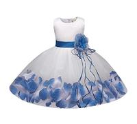 Generisch Vestido de princesa sin mangas con estampado floral para vestido de disfraz Vestido para recién nacido (12-24 meses) de dos piezas para niños, azul, 9-12 meses