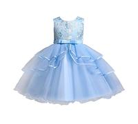 Generisch Vestido de princesa sin mangas para niñas con falda de tul con adorno de encaje para ocasiones festivas (azul, 5-6 años)