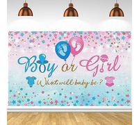 Género Revelar Fondo Boy or Girl Party Banner Fondos Rosa y Azul Género Revelar Estrellas Globo Ropa Patrón Género Sorpresa para Bebé Decoraciones de Ducha Estilo 3