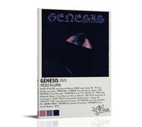 Genesis Peso Pluma - Lienzo decorativo para pared, adecuado para dormitorio, comedor y sala de estar, hermosas obras de arte es un gran regalo para amigos, estilo marco, 40 x 60 cm