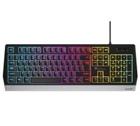 GENESIS RHOD 300 RGB teclado USB Negro