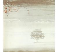 Genesis - Wind and Wuthering
