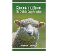 Genetic Architecture of The Synthetic Sheep Population