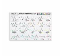 Genetic Code Chart for Amino Acids - Biology Educational Art Print, Unique Science Gift for Students, Chemists, Doctors & Office Wall Decor(Framed,12x18inch(30x45cm))