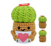 Genikeer Muñeca De Crochet para Maceta - Maceta De Cactus De Ganchillo Positivo para Escritorio,Inspirador con Tarjeta De Motivación para Cumpleaños Graduación Estantería