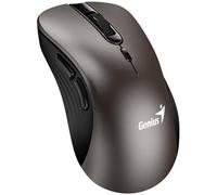GENIUS Ratón: Ergo 8100S Champán Titanio
