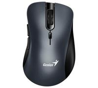 GENIUS Ratón: Ergo 8100S Gris Hierro