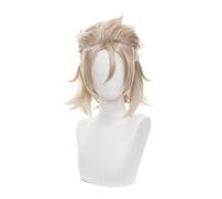Genshin Impact Albedo Wig Cosplay Heat Resistant Synthetic Hair Halloween Christmas Role Play Short Hair for Unisex Adult Men