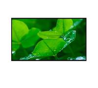 GENTERUN Pantalla LCD De 14 Pulgadas, Compatible con Lenovo, ThinkPad T14s Gen3 G3 21BR00CDGE, Panel IPS FHD 1920x1200 60Hz EDP 30 Pines