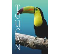 Gentle Animal Faces Composition: Toucan Themed College-Ruled Notebook, Journal For School, College and Office. Perfect gift for bird lovers.