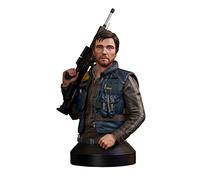 Gentle Giant Diamond Select - Star Wars Rogue One Cassian Andor 1/6 Scale Bust