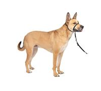 Gentle Leader No-Pull Dog Head Collar Medium Size Adjustable Training Harness for Comfort and Control