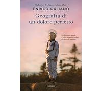 Geografia di un dolore perfetto (Narratori moderni)