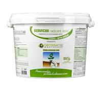 Geomicor Radicant Sólido, (1 kg), inóculo granular de hongos micorrízicos y bacterias rizosféricas para hortalizas, plantas y flores