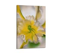 Géorgia O'Kéeffe (una orquídea) - Lienzo decorativo para pared, 50 x 75 cm