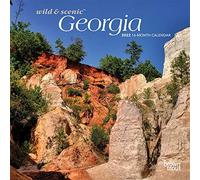 Georgia Wild & Scenic 2022 - Mini calendario mensual de pared de 7 x 7 pulgadas, Estados Unidos de América, estado del sureste y naturaleza