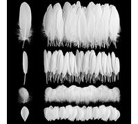 Geosar 300 Piezas Plumas Naturales de Ganso para Manualidades Decoraciones de Plumas Artesanales Plumas para Disfraces Bodas Fiestas Atrapasueños Ropa Casa (Blanco)