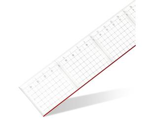 GEOtec - Regla para corte (plexiglás, 50 cm), transparente