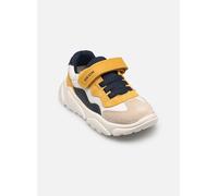 Geox B Ciufciuf Boy B455RB 25 Multicolor
