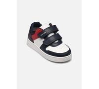 Geox Zapatillas B ECLYPER BOY in Multicolor 25
