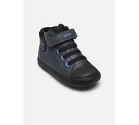 Geox B GISLI BOY C 23 Azul