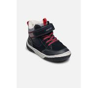 Geox B OMAR BOY WPF 22 Azul