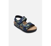 Geox B Sandal Chalki Boy 21 Azul