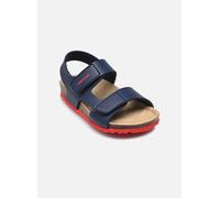 Geox B Sandal CHALKI Boy, Sandalia Bebé-Niños, Navy/Red, 23 EU