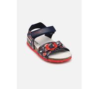 Geox B Sandal Chalki Boy C 21 Azul