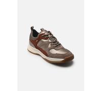 Geox D BERINIKE B ABX B 40 Gris