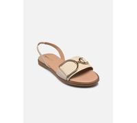 Geox D NAILEEN PAPYRUS 40 Beige