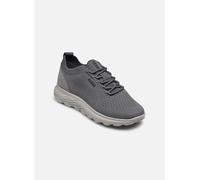 Geox D SPHERICA 37 Gris