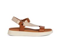 MARRON 40 GEOX D XAND 2S