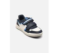 Geox J Arzach Boy A, Zapatillas, White Azure, 34 EU