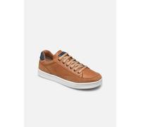Geox J Djrock Boy J255VB 33 Marrón