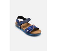 Geox J Ghita Boy J028LB 26 Azul