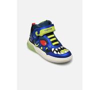 Geox J Grayjay Boy J369Y 32 Multicolor