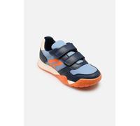 Geox J Rann-E Boy J65NEA 33 Azul