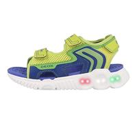 Geox J Sandal Wroom Boy, Sandalia, Lime Royal, 31 EU