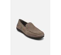 Geox U Ascanio B, Mocasin Hombre, Gris De La Paloma, 42 EU