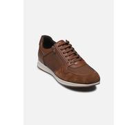 Geox Zapatillas Avery U56H5A 0EKBU-C6003 Marrón para hombre Talla 44