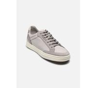 Geox U BALTMOORE 40 Gris