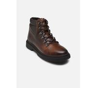 Geox U CALAITA H 43 Marrón
