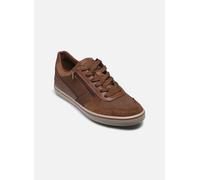 Geox Zapatillas U ELVER A in Marrón 44