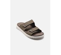 Geox U FLEXTRIDE S 39 Gris