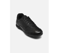 Geox U SNAKE 2.0 C 40 Negro