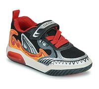 Geox Zapatillas J INEK BOY in Multicolor 25